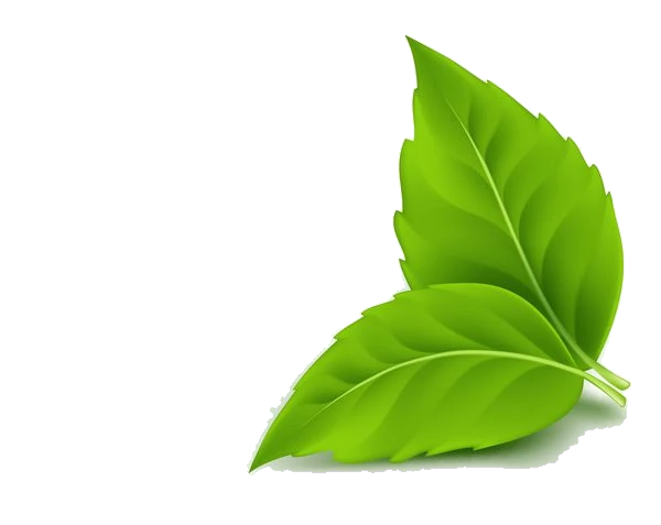 Organic Leaves